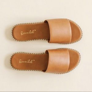 Brown Slides